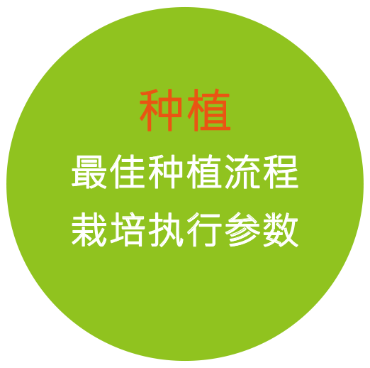 种植