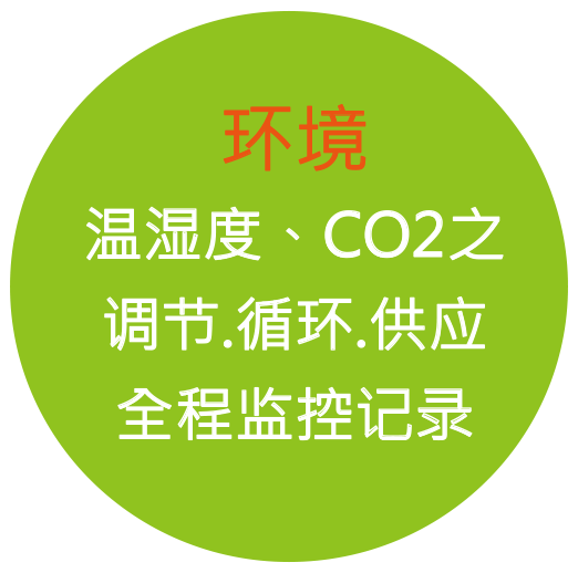 环境