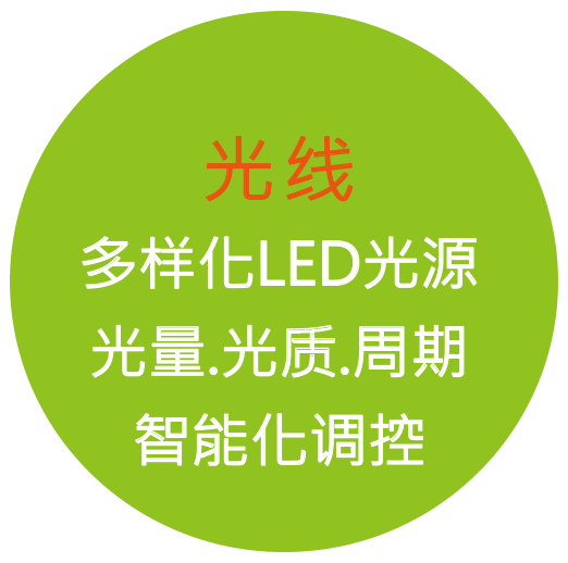 光线