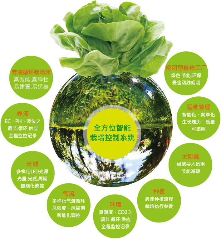 科技农业植物工厂