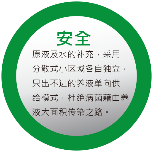 安全
