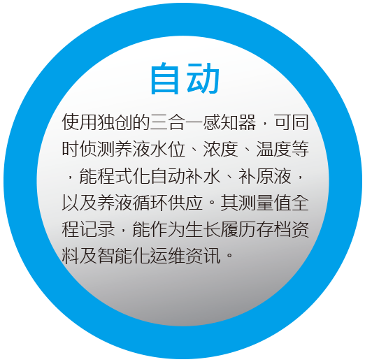自动