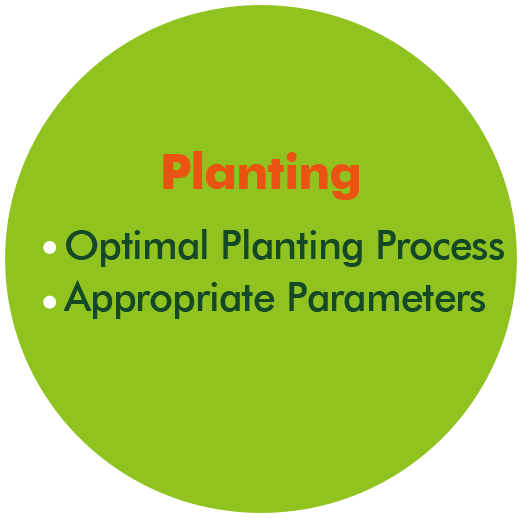 Planting