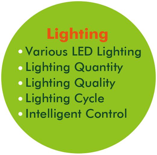 Lighting