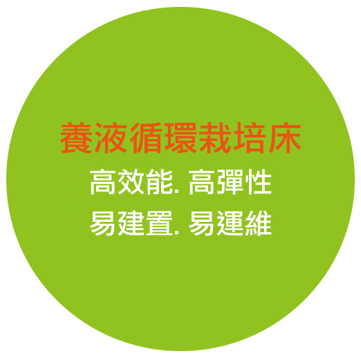 養液循環栽培床