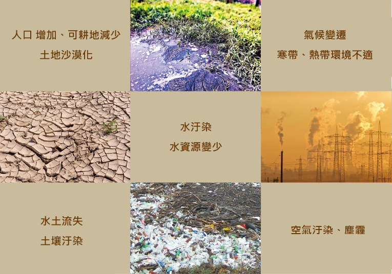 Environment Problems