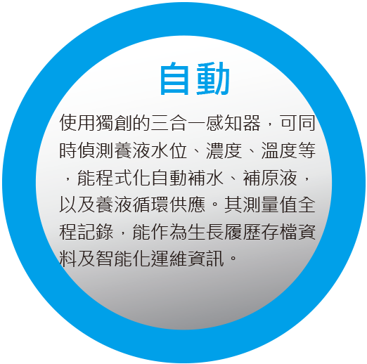 自動
